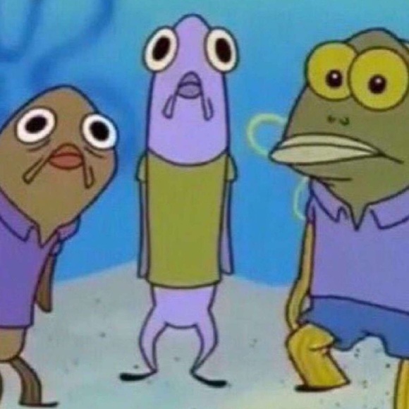 Meet your Posher, Paul - Picture 1 of 1